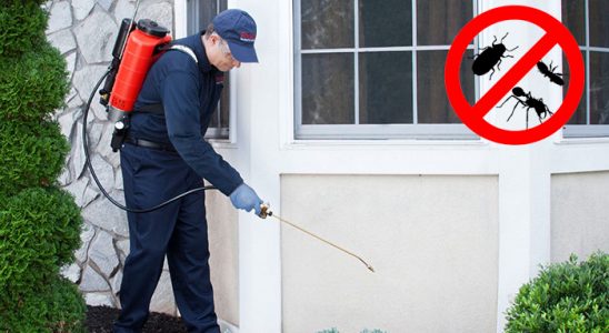Sivrihisar Böcek İlaçlama böcek ilaçlama ve haşere kontrolü — ilaclama-tr.com